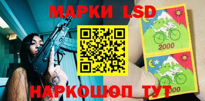 индика Аргун