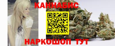 индика Аргун