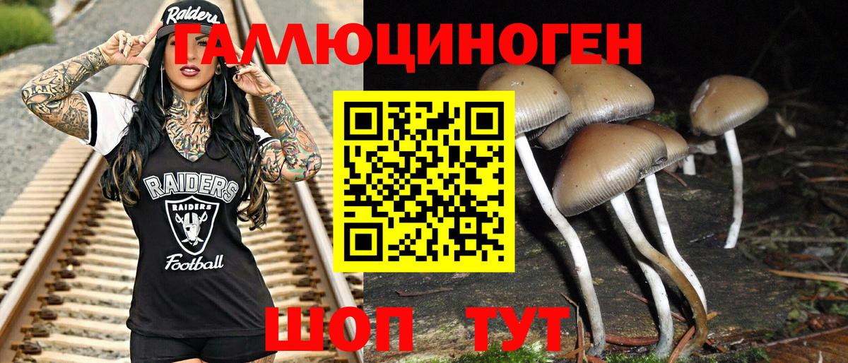 Псилоцибиновые грибы Magic Shrooms  Вход с VPN  Брянск 