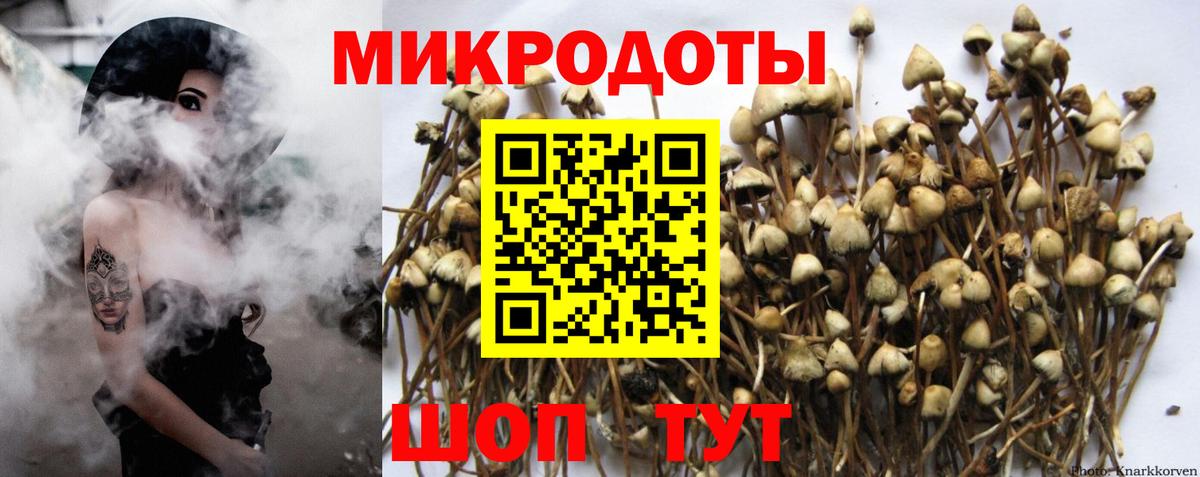 Галлюциногенные грибы прущие грибы Брянск